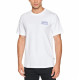 Converse T