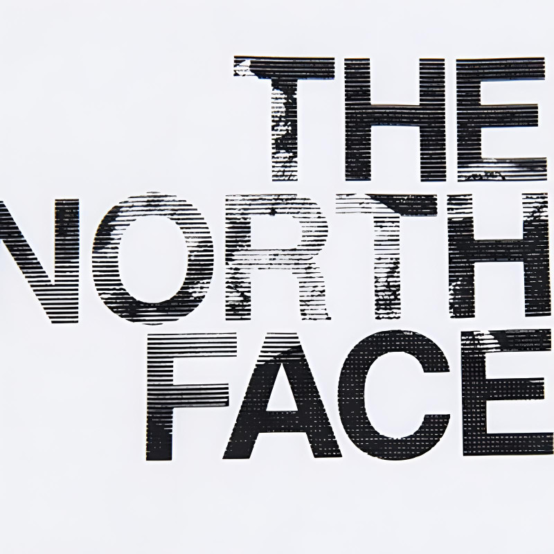 THE NORTH FACE logo T