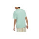 Nike SB T