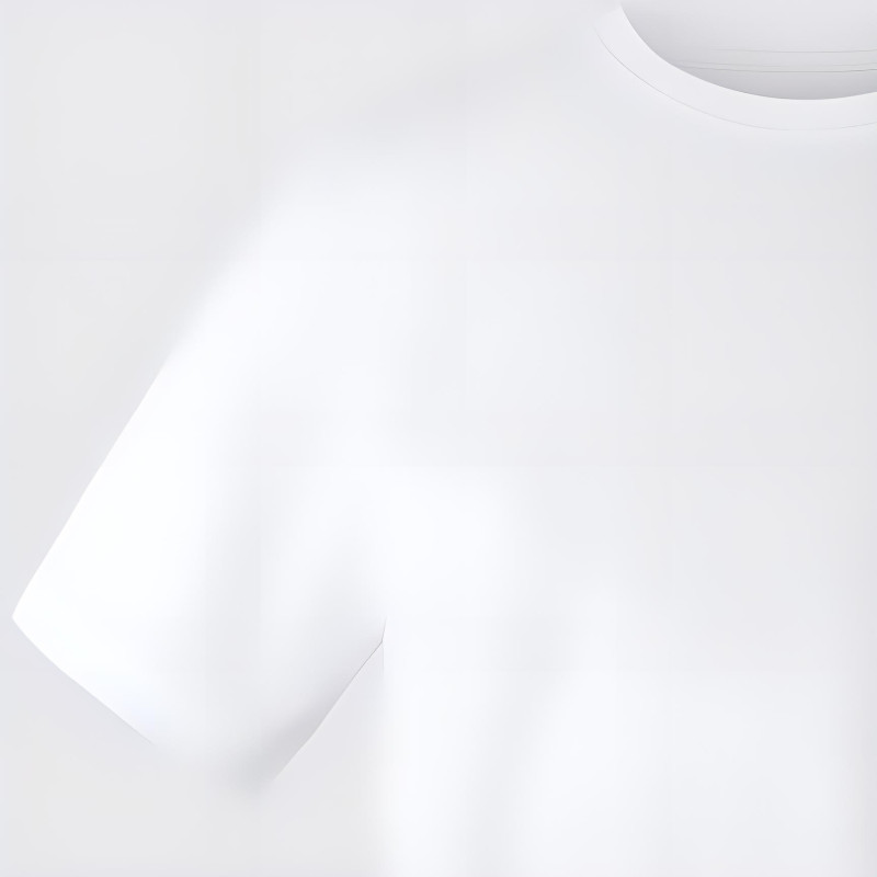 THE NORTH FACE T