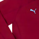 PUMA 2020-21