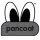 Pancoat